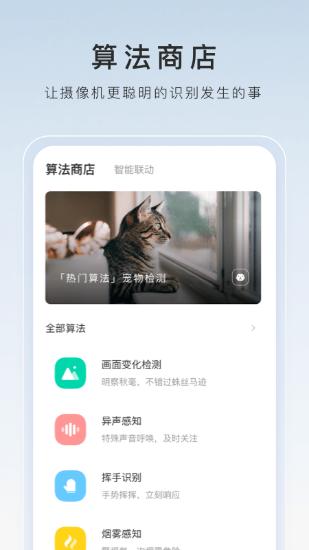 回忆那年夏天500字截图